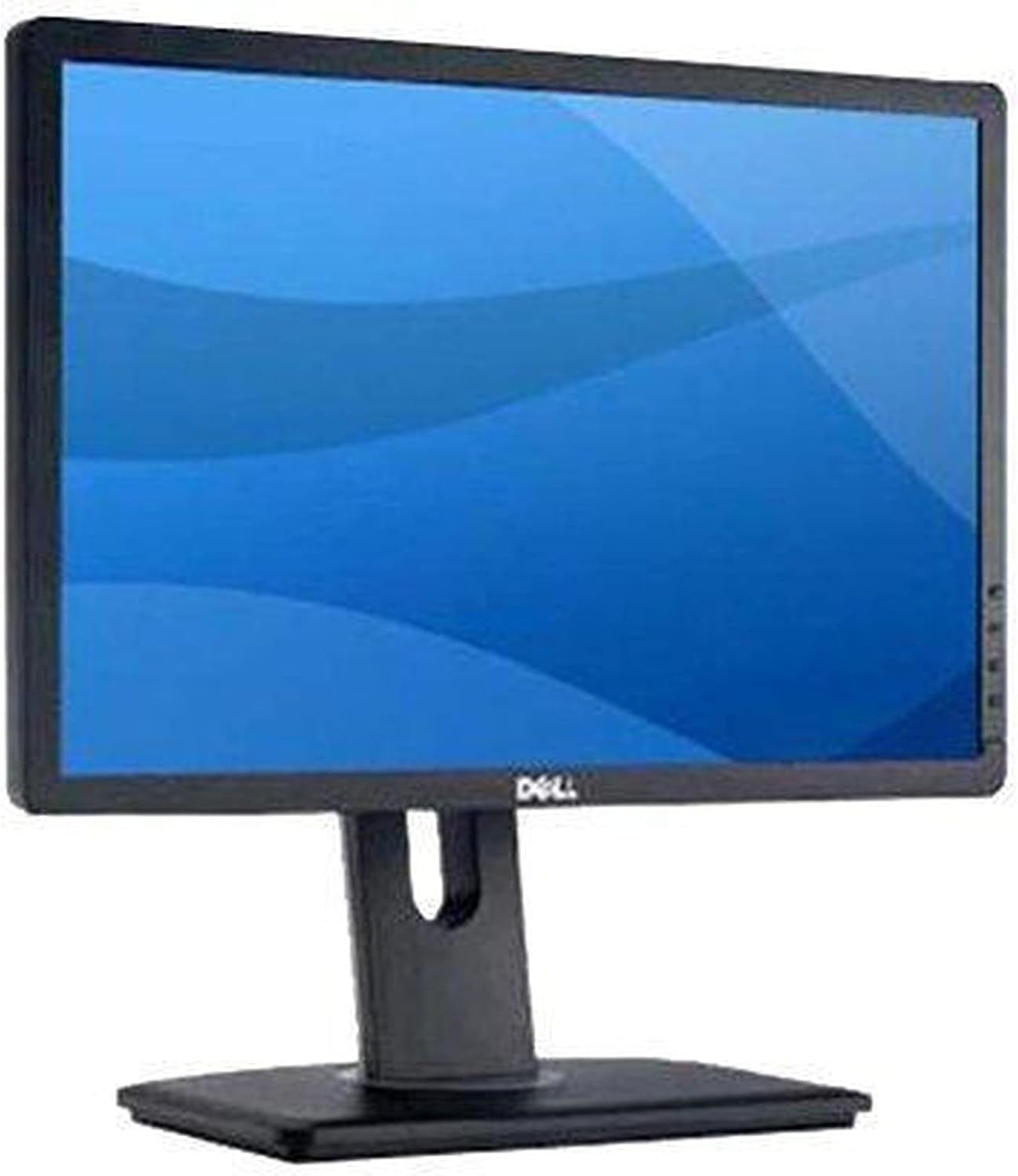 Dell Professional P1913 19-Inch PLHD Widescreen Monitor