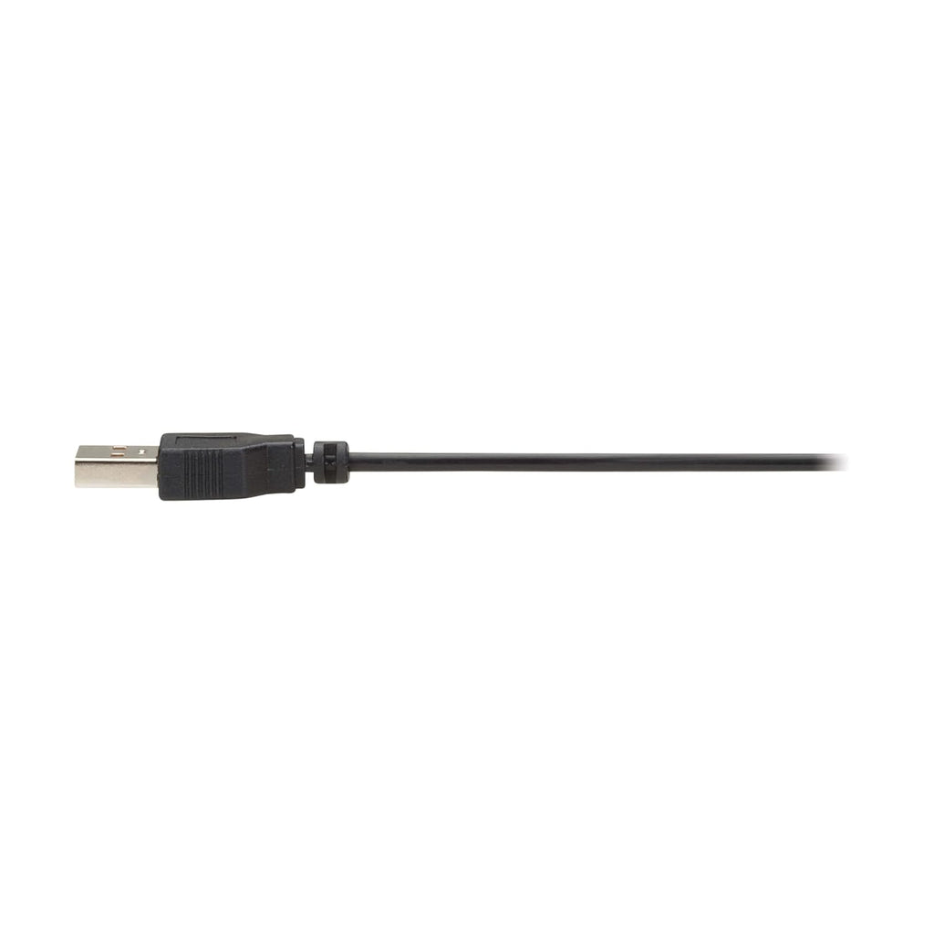 TRIPP LITE Eaton Series 8K Long DisplayPort Extension Over Fiber up to 328 Feet / 100 Meters, MPO Fiber Optic Cable Terminations, 8K@60Hz, LSZH Jacket, 1-Year Warranty (P580F-000)