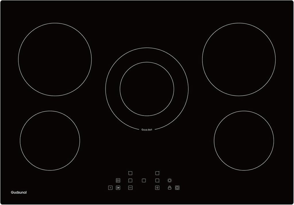 30 Inch Electric Cooktop 5 Burners,3000 Watt Dual-Ring Burner for Quick Boil,Shatterproof Glass, Keep Warm Setting, 9 Heating Level,9000W, Drop-in Electric Stove Top,Gray