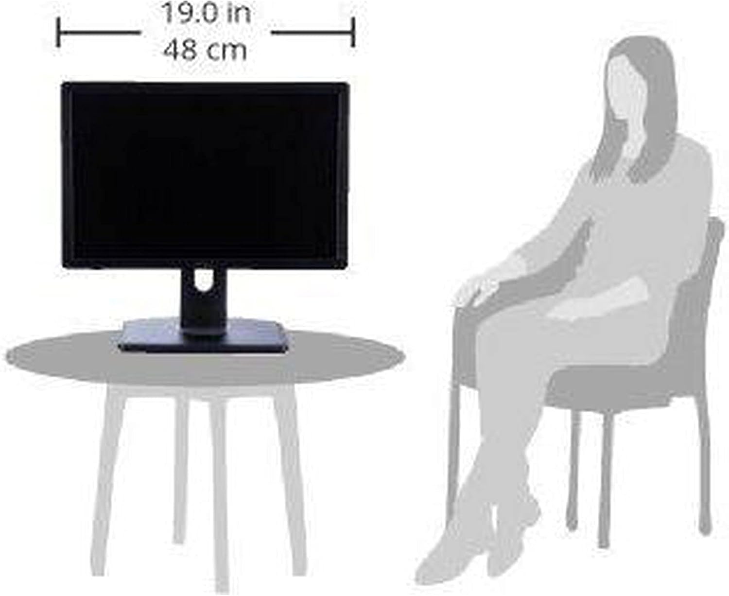Dell Professional P1913 19-Inch PLHD Widescreen Monitor