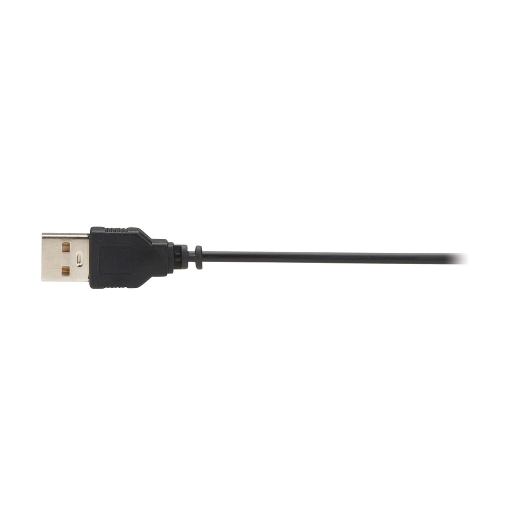 TRIPP LITE Eaton Series 8K Long DisplayPort Extension Over Fiber up to 328 Feet / 100 Meters, MPO Fiber Optic Cable Terminations, 8K@60Hz, LSZH Jacket, 1-Year Warranty (P580F-000)