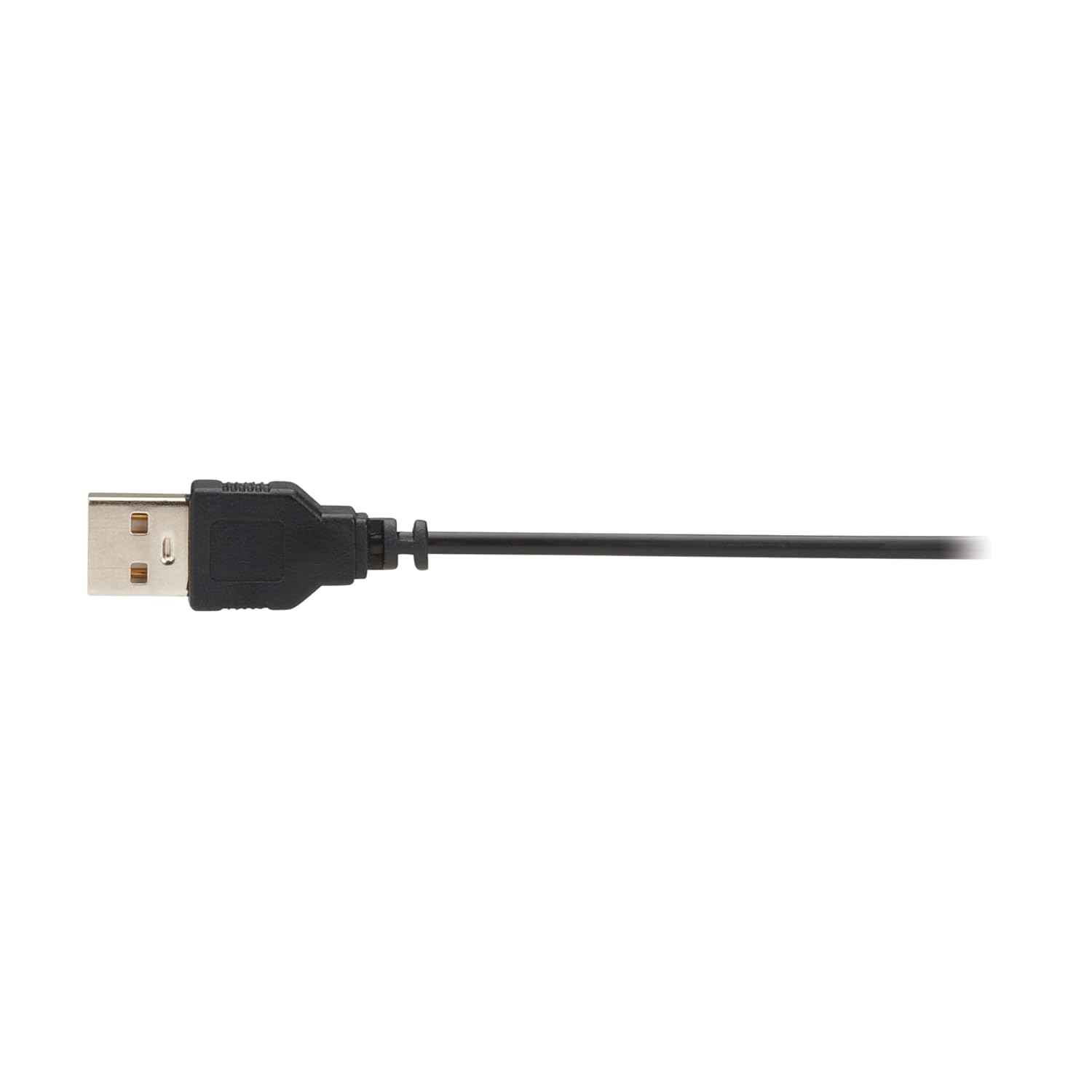 TRIPP LITE Eaton Series 8K Long DisplayPort Extension Over Fiber up to 328 Feet / 100 Meters, MPO Fiber Optic Cable Terminations, 8K@60Hz, LSZH Jacket, 1-Year Warranty (P580F-000)