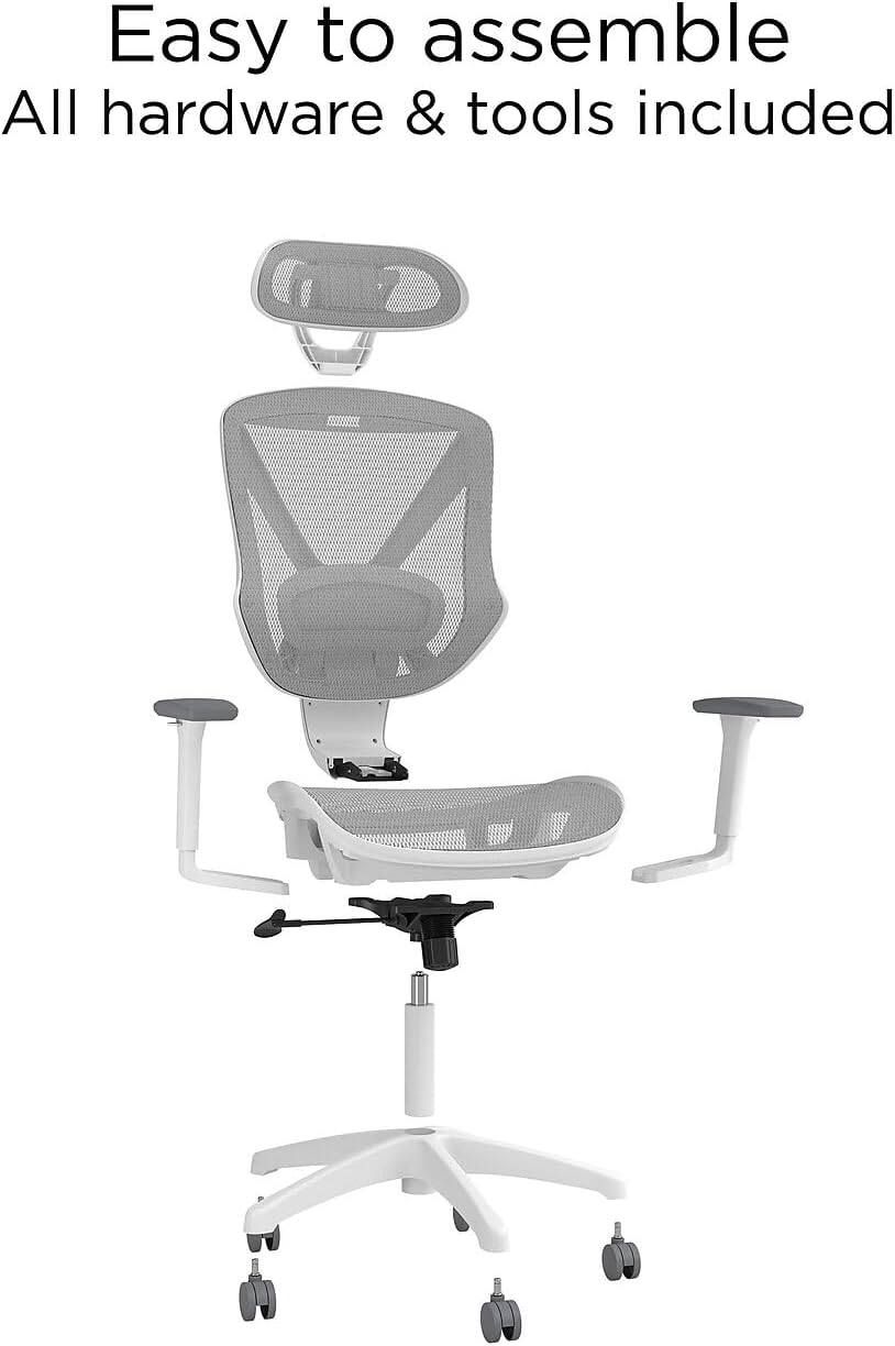 STAPLES Ergonomic Task Chair, Mesh, Ergonomic, Lumbar Support, Gray