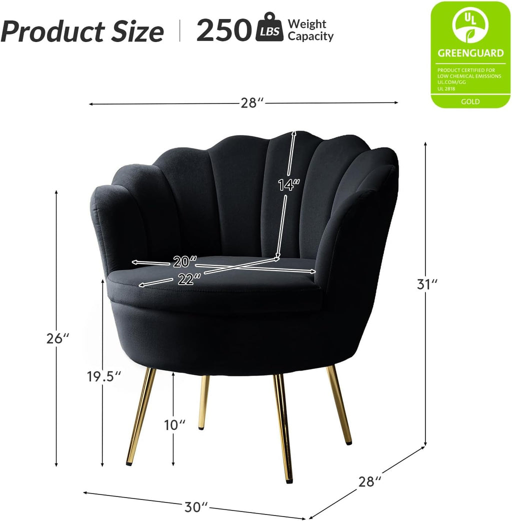 HULALA HOME Modern Velvet Accent Chairs Set of 2 with Shell Shaped Back, Cute Living Room Bedroom Armchairs with Gold Legs, Comfy Upholstered Vanity Chairs for Makeup Room, Black