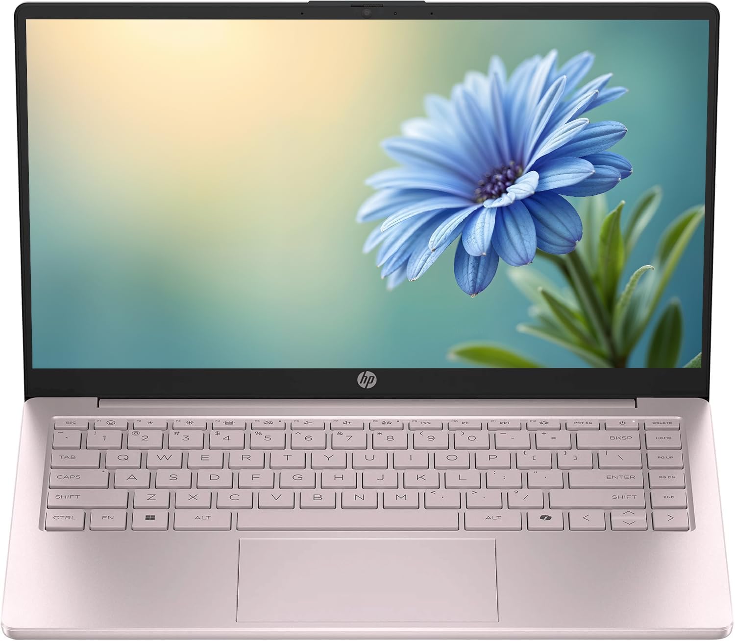 HP Portable 14' HD IPS Laptop, Intel Celeron N Processor Up to 3.59GHz, 4GB DDR4, 128GB SSD, HDMI, Webcam, 1 Year Office 365, Bluetooth, Windows 11, Pastel Pink