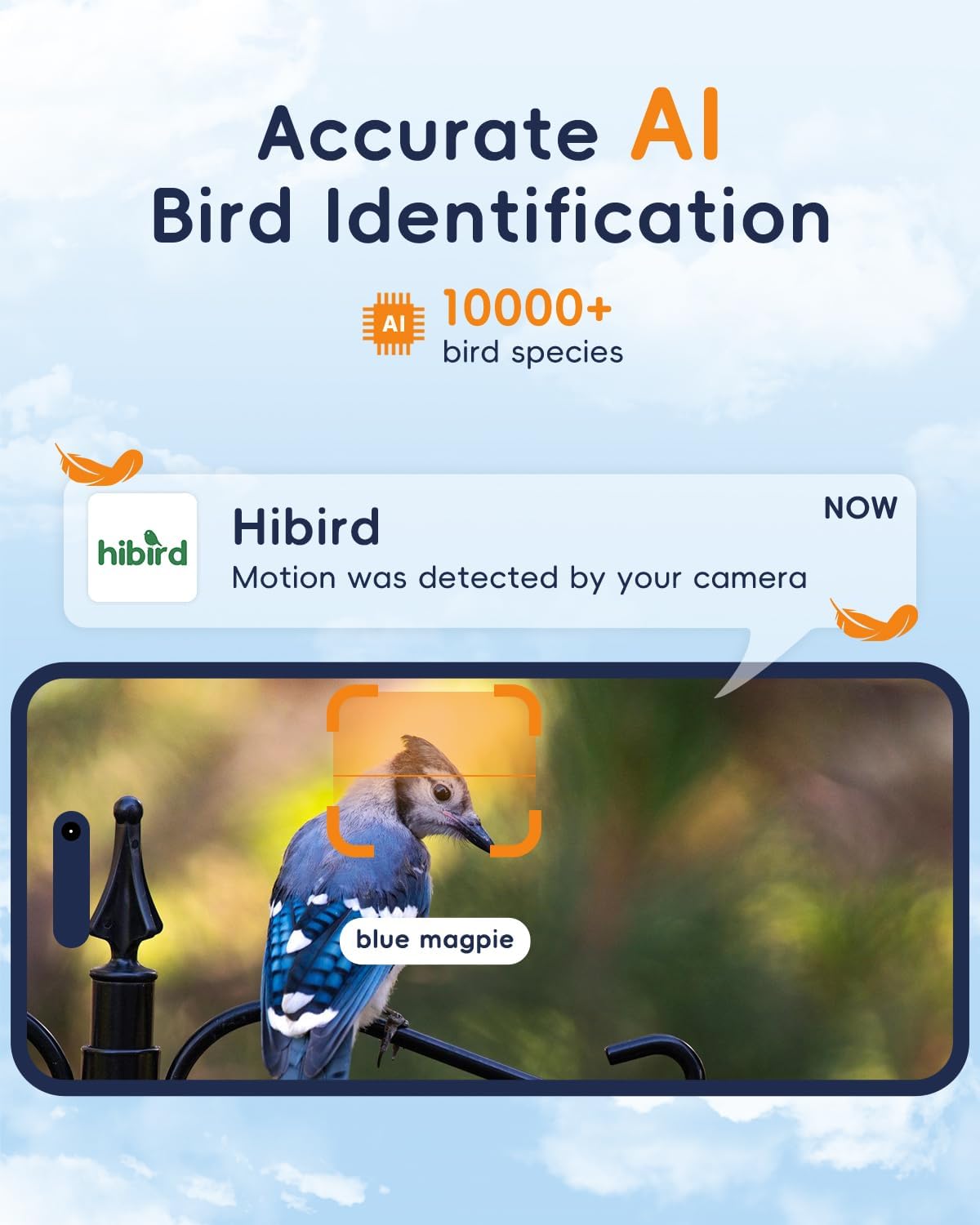 5G Bird Watching Camera, Hibird Smart AI Identify and Auto Capture 10000+ Bird Species IP66 Mini Wireless Watching Camera with Solar Panel, Ideal Gift for Birds Lover