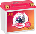 Lithium Motorcycle Battery LiFePO4 YTX20L-BS 12.8V 10Ah 700CCA For Motorcycle Compatible ATV, UTV, Jet Ski, 4 wheeler, Scooter, PWC, Seadoo, Polaris