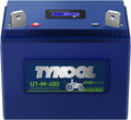 TYKOOL 480CCA 12AH, Group U1 Lithium LiFePO4 Lawn Mower Battery,Garden Tractor Battery, Fits for Ride on Lawn Tractor and Mower,Compatible with John Deere,Cub Cadet,Craftsman,Troy-Bilt Mower,Generator