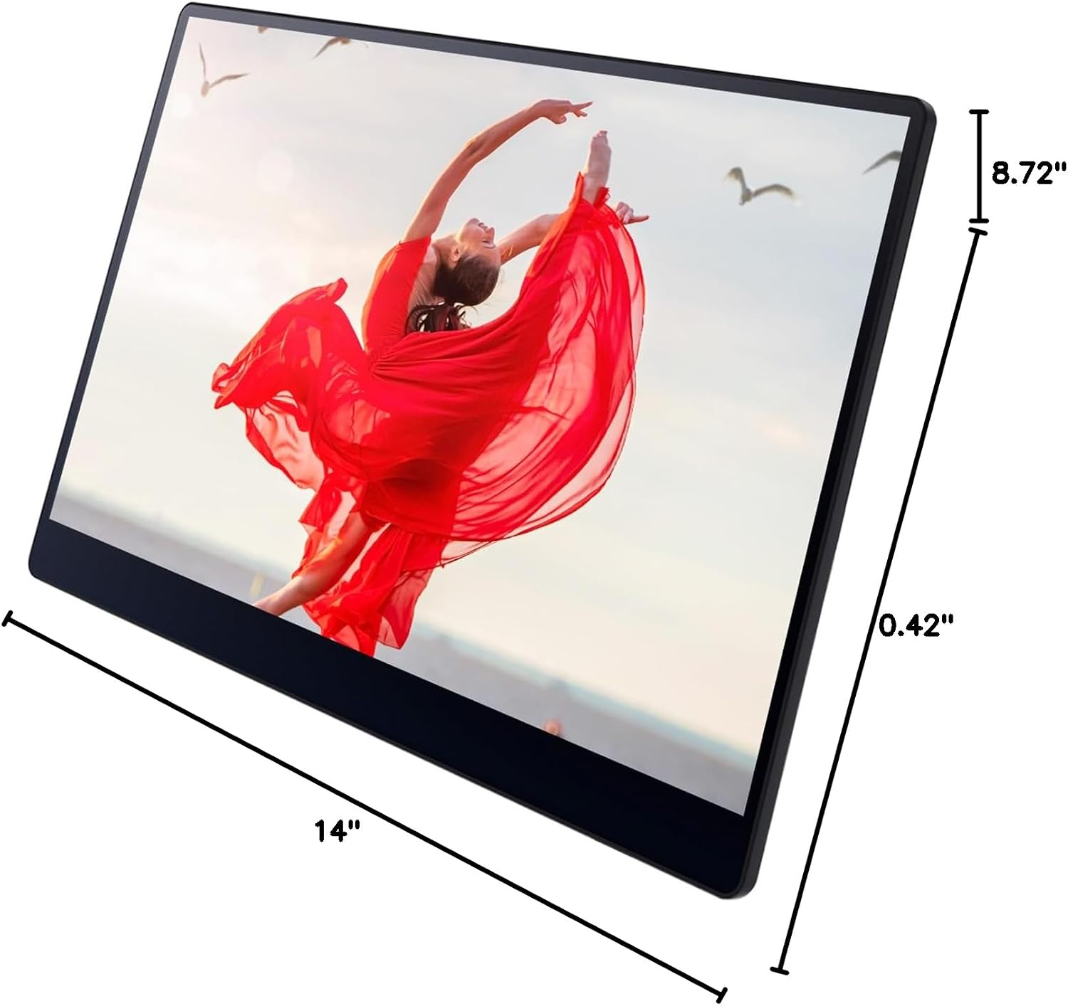 Ricoh 150BW Portable 15.6' Vivid OLED 350nit Lightweight Display Monitor and Touchscreen w/Dual Speakers, Wireless with Multicasting, Battery Powered - for Laptop, Desktop, Mac, PC