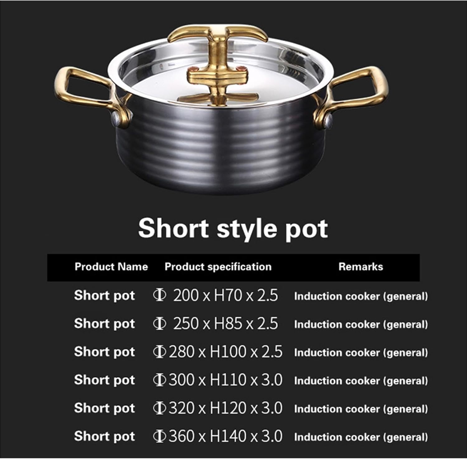 304 Stainless Steel Shabu Shabu Pot, Soup Pot Seafood Pot Stew Pot with Lid and Handle for Induction Cooktop, Gas Stove & Electric Stove,25cm