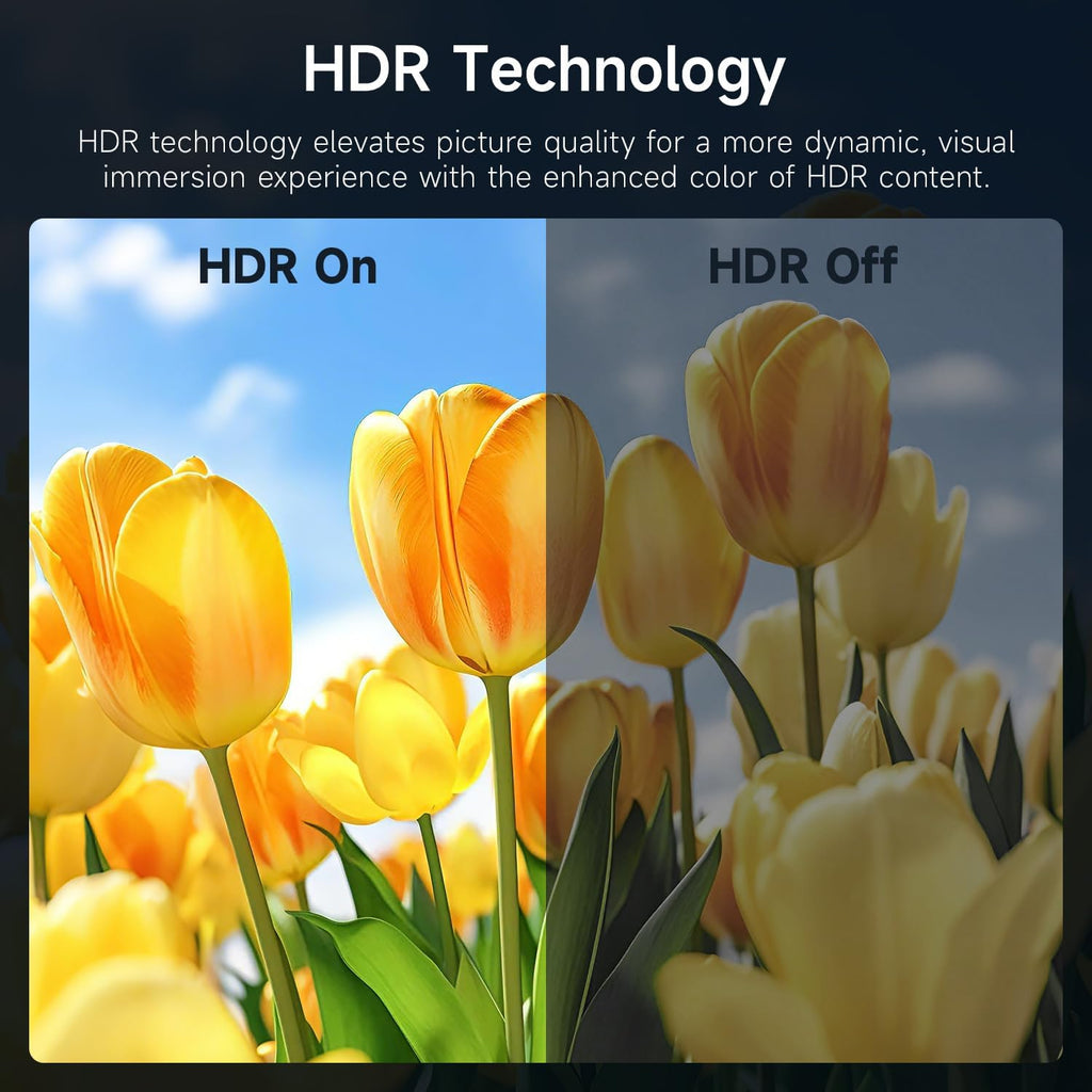 AYY Portable Monitor 18.5 Inch 100Hz 100% sRGB,1080P FHD IPS Large Portable Monitor with Kickstand,for Laptop HDMI HDR USB C Mac PC Xbox PS4/5 Switch