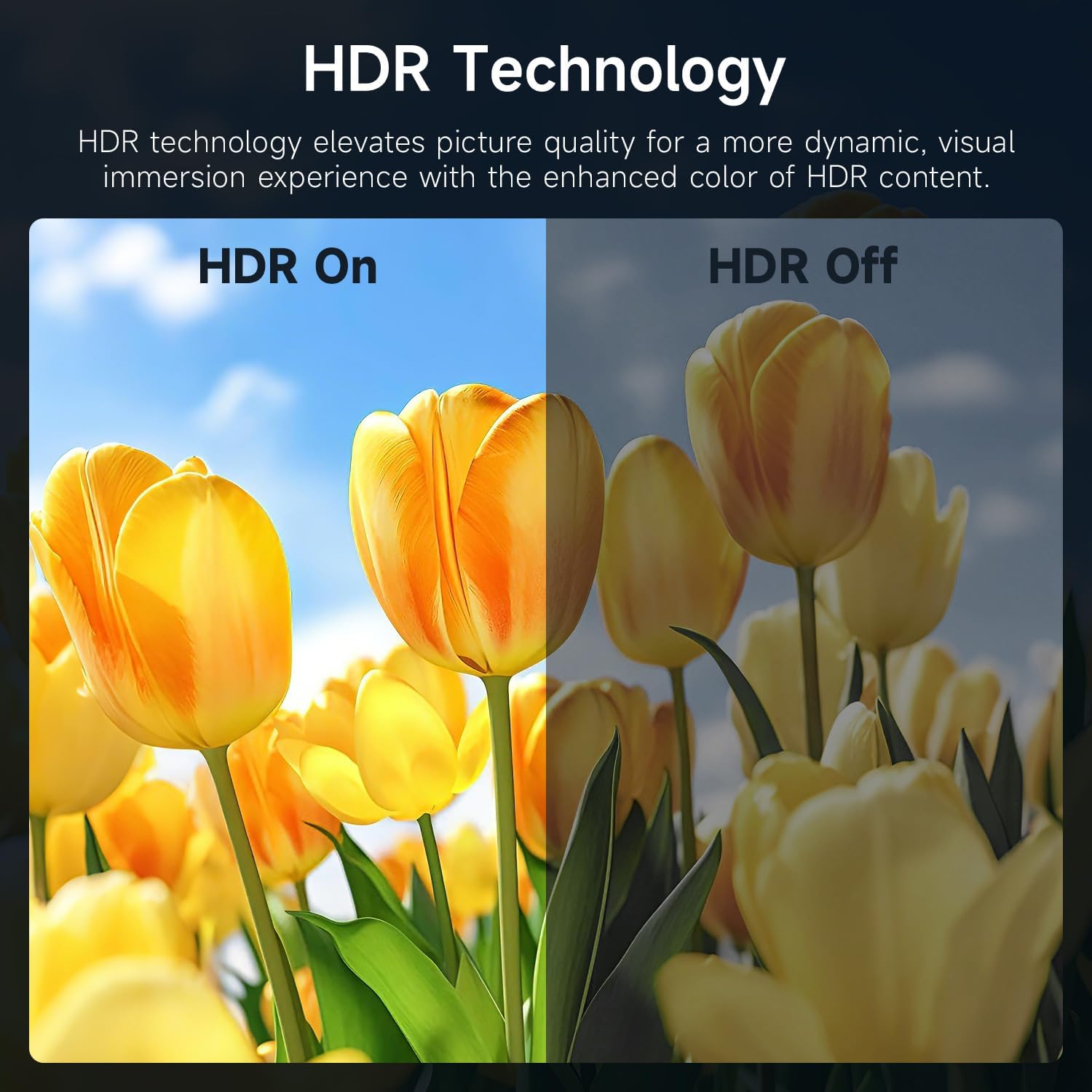 AYY Portable Monitor 18.5 Inch 100Hz 100% sRGB,1080P FHD IPS Large Portable Monitor with Kickstand,for Laptop HDMI HDR USB C Mac PC Xbox PS4/5 Switch