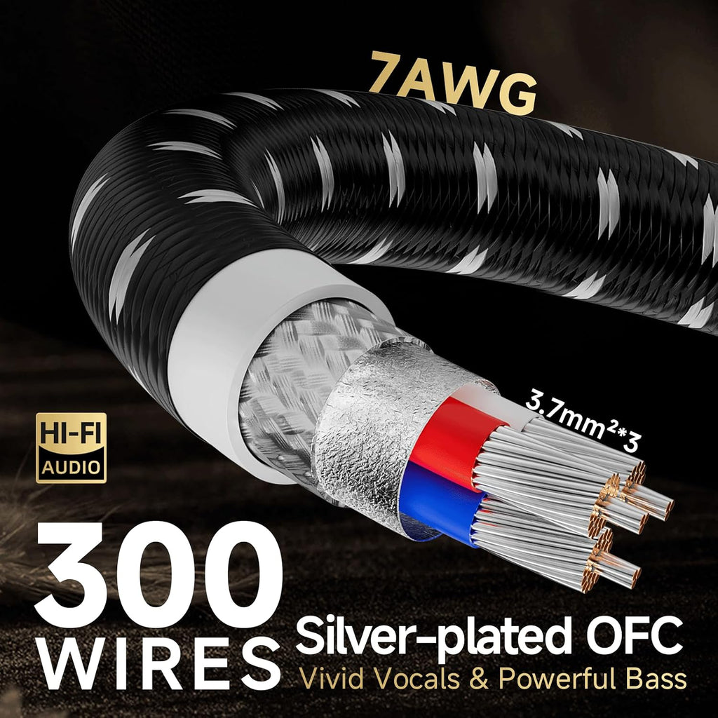TODN HiFi Audio Power Cable for Audiophile with Silver-Plated OFC, Platinum-Plated 3 Prong Power Cord Plug/IEC C15, Φ17.5mm, 9.8ft/3m