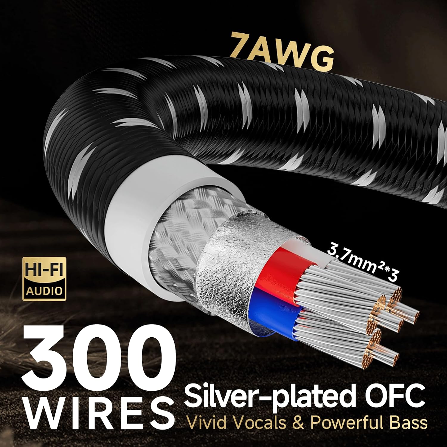 TODN HiFi Audio Power Cable for Audiophile with Silver-Plated OFC, Platinum-Plated 3 Prong Power Cord Plug/IEC C15, Φ17.5mm, 9.8ft/3m