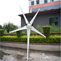 Wind Generator Wind Turbine 3kw 48V, 96V 5 Blades 100kg 3.3m Impeller Diameter for Marine, RV, Home, Windmill Generator Suit (Size : P-3000w) (P)