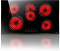 36 Inch Electric Cooktop Hobsir, 5 Burner Electric Stove Top 8400W, 220V Hardwired Built-in Cook top, Dual Ring & Oval Burners Touch Control, Fits All Cookware for Kitchen Holiday Feasts