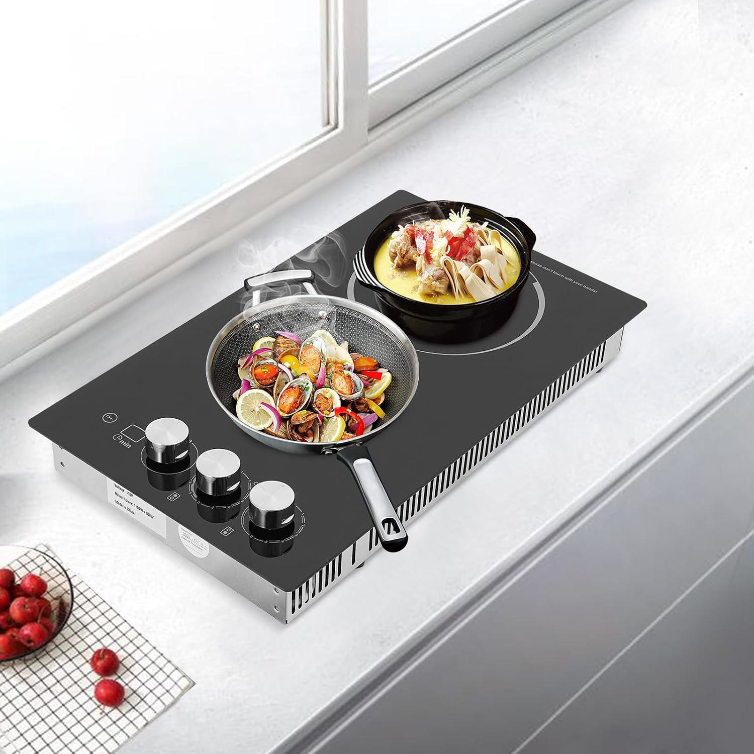 Electric Cooktop 20 Inch, 1700W Drop-in 2 Burner Electric Stovetop in Black with 5 Power Levels, 0-99 Minute Timer, Child Safety Lock, 110V - 20.08x11.81x4.06in(No Plug)