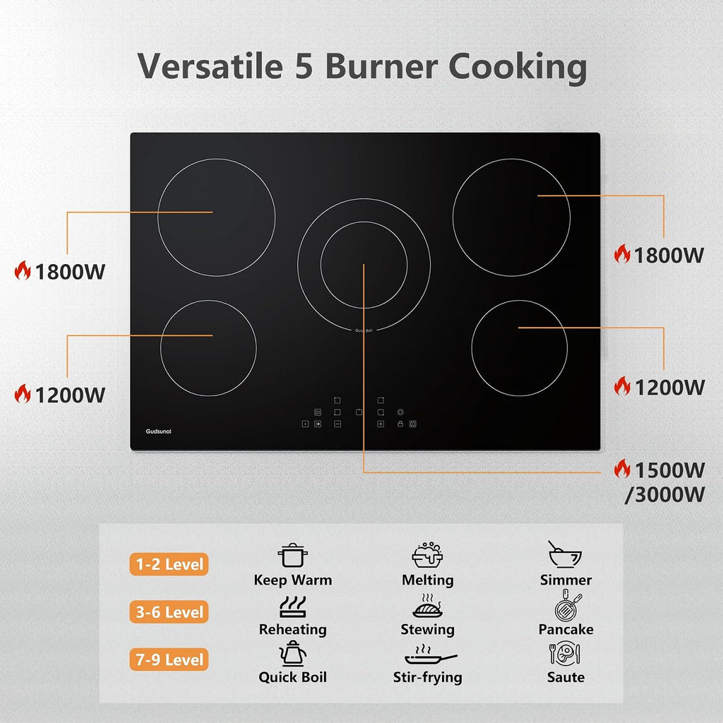 30 Inch Electric Cooktop 5 Burners,3000 Watt Dual-Ring Burner for Quick Boil,Shatterproof Glass, Keep Warm Setting, 9 Heating Level,9000W, Drop-in Electric Stove Top,Gray
