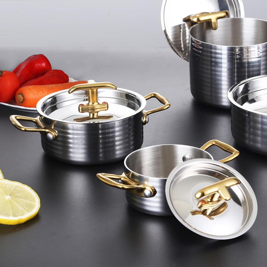 304 Stainless Steel Shabu Shabu Pot, Soup Pot Seafood Pot Stew Pot with Lid and Handle for Induction Cooktop, Gas Stove & Electric Stove,25cm