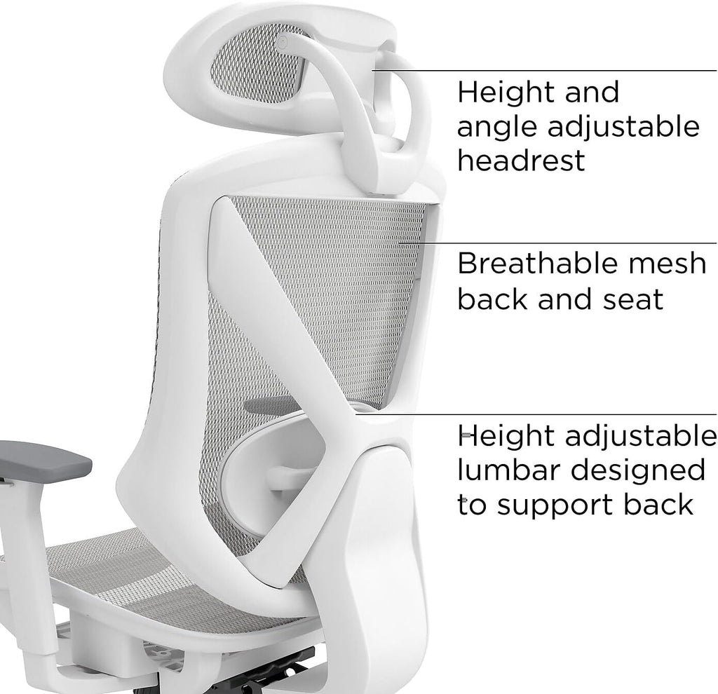 STAPLES Ergonomic Task Chair, Mesh, Ergonomic, Lumbar Support, Gray