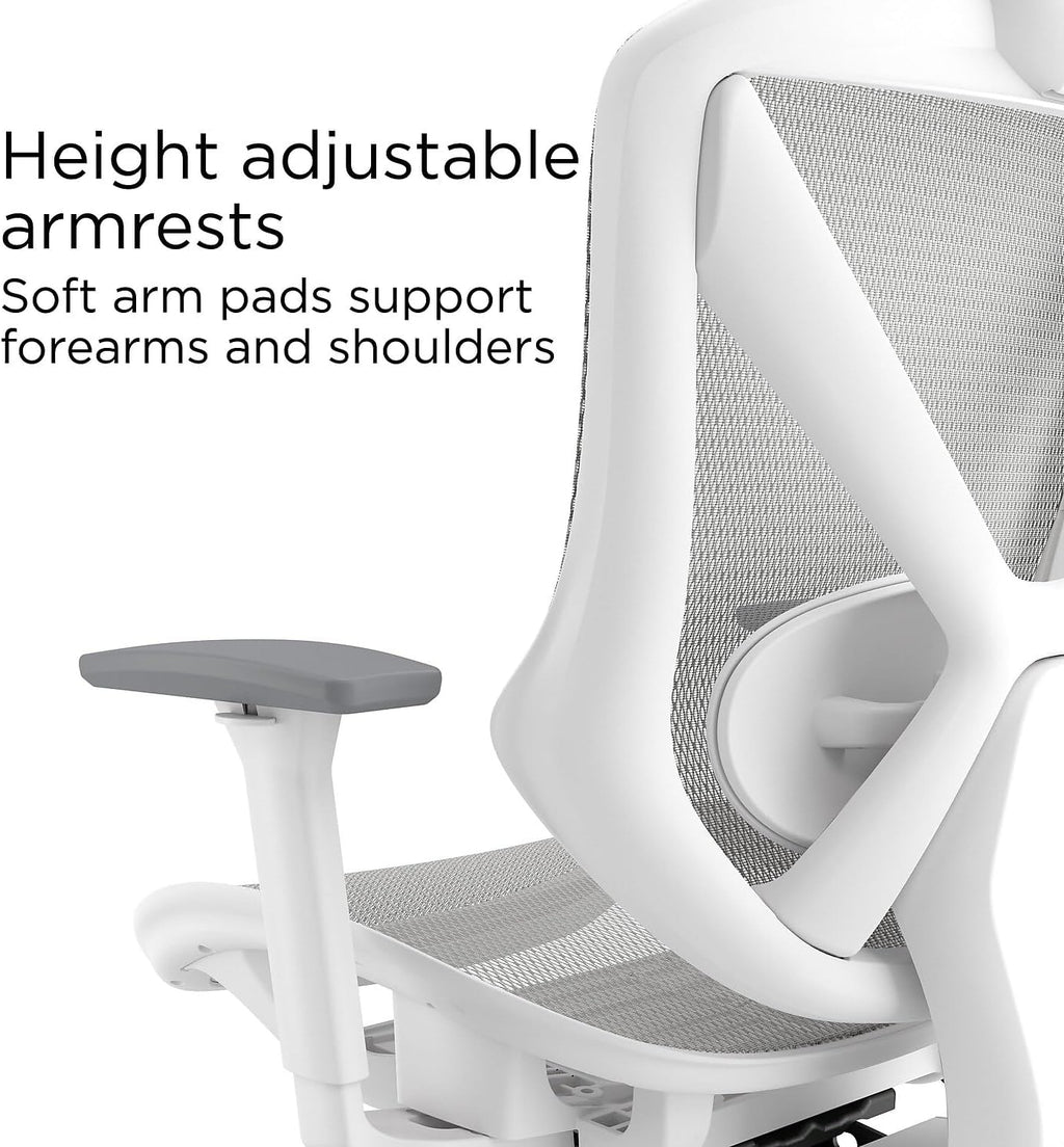 STAPLES Ergonomic Task Chair, Mesh, Ergonomic, Lumbar Support, Gray