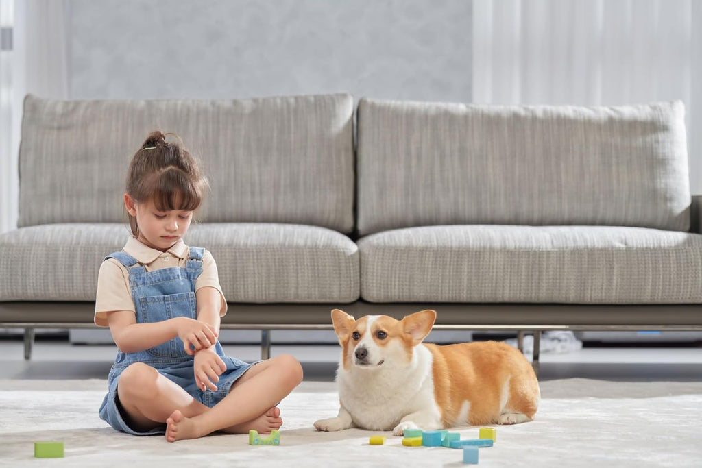 Jimmy WB81 Mattress Vacuum Cleaner, Upgraded Roller Brush, Smart Dust Sensor LED, UV Light and Ultrasound, PTC Heating, Best for Pet Hair and Anti-allergen (WB81, 2025 New Model)
