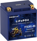 Lithium YTX30L-BS, 850A LiFePO4 Motorcycle Battery, 12V 12AH ATV, UTV, Jet Ski, 4 Wheeler, Snowmobile, Personal Watercraft, Seadoo, Polaris, Tractor,Generator and Riding Lawn Mower Battery