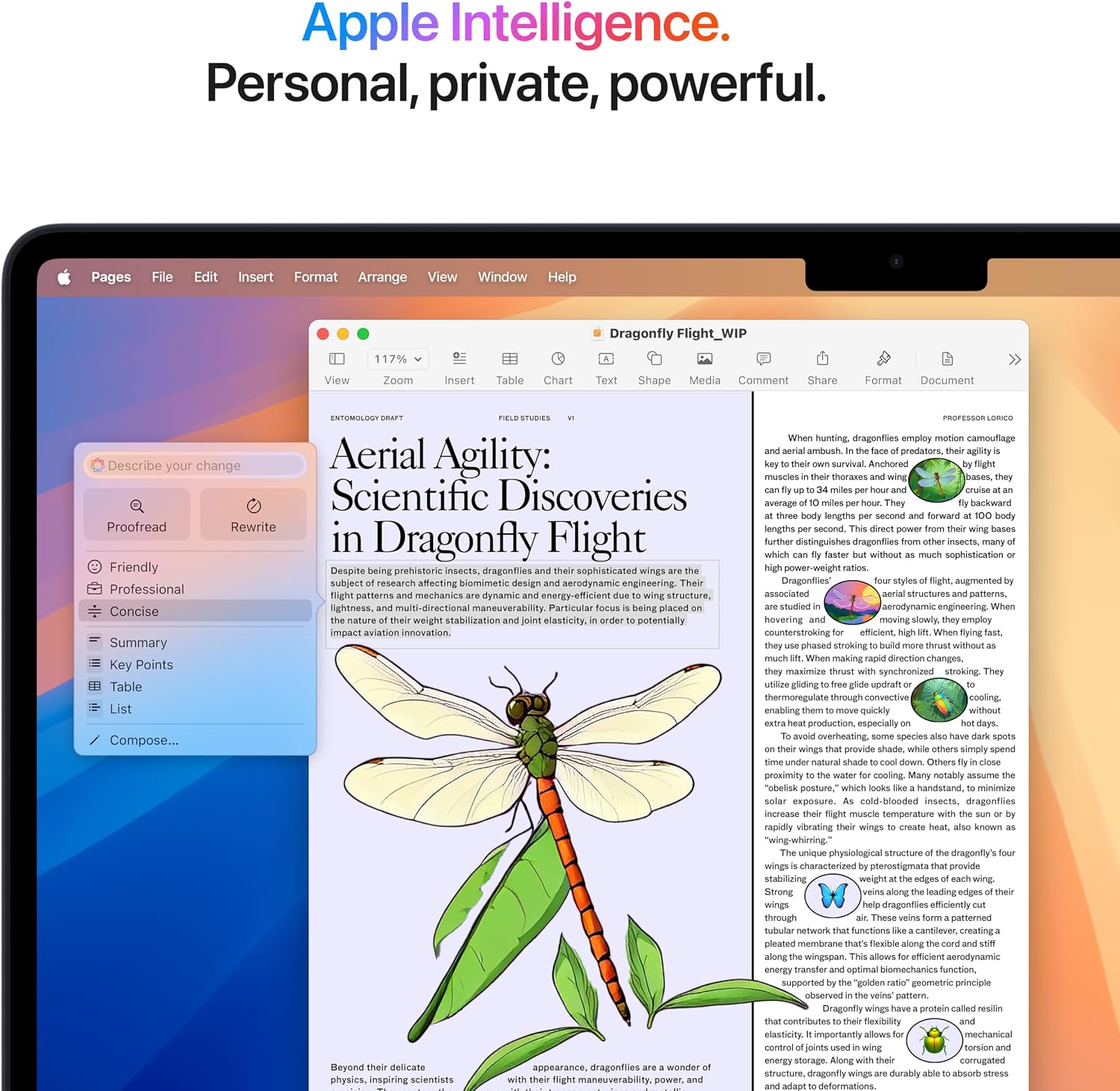 Apple 2025 MacBook Air with Apple M4 chip (15-inch, 16GB Unified Memory, 256GB SSD Storage) (QWERTY English) Midnight (Renewed)