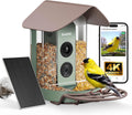 Kiwibit Smart Bird Feeder with Camera Solar Powered, No Subscription, Lifetime AI Feature Included, 4K Video Live Stream, AI Identification Bird Species, Real-Time Bird Alert, Ideal Birdwatching Gift