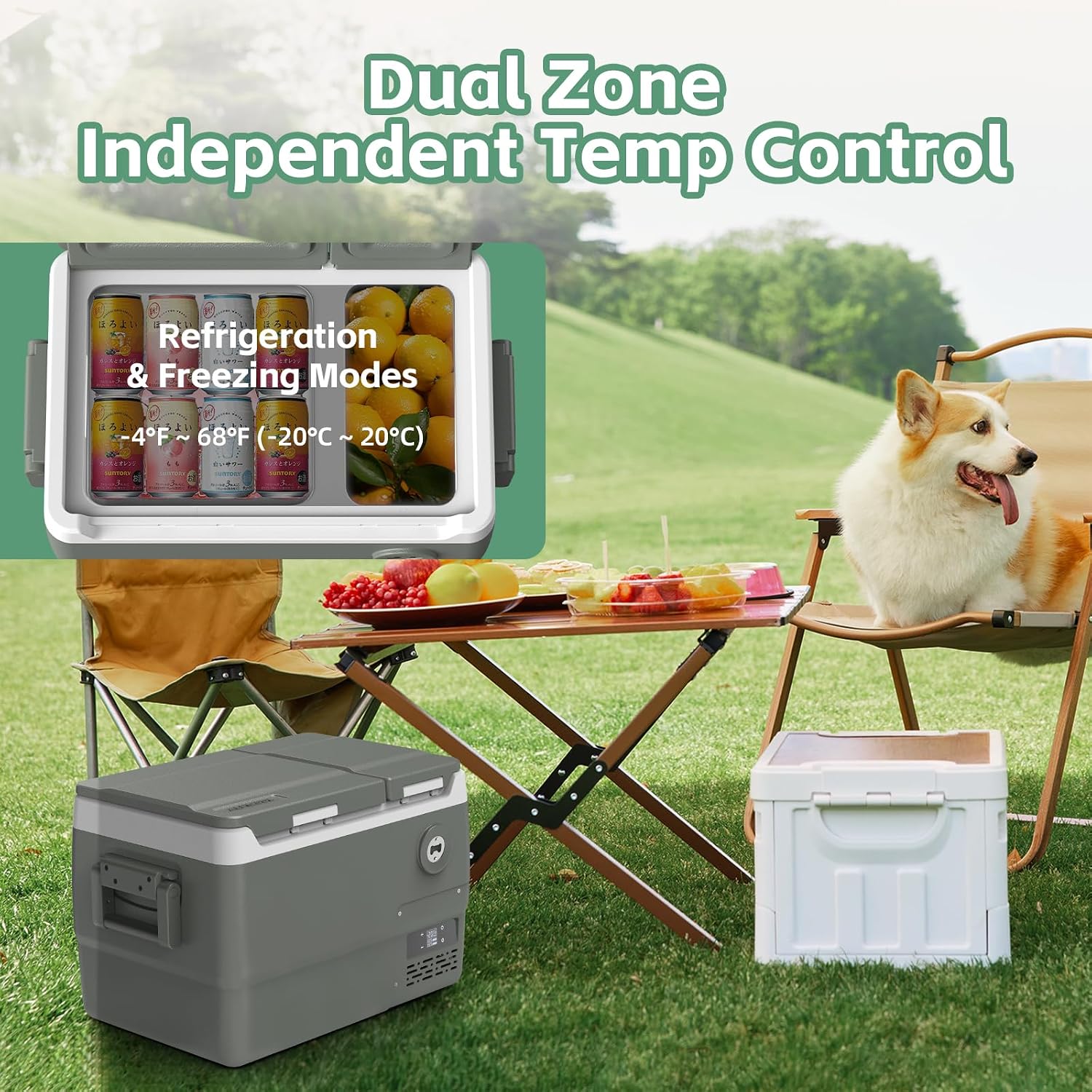 Alpicool Car Refrigerator 12 Volt Dual Zone Portable Car Fridge 32 Quart（30L Electric Cooler with AC/DC，Car Refrigerator Freezer for Truck Van RV Camper SUV, Camping Boat Travel，-4~68°F