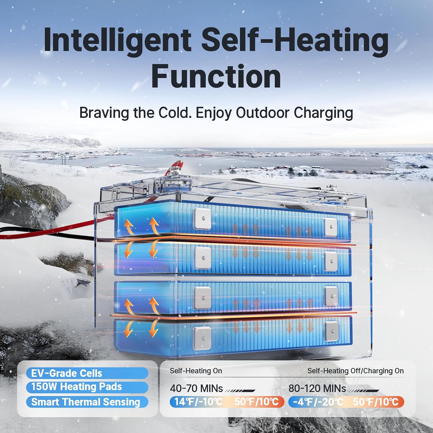 Redodo 12V 165Ah Dual Purpose Lithium Marine Starting(1200CCA) and Storage Battery, Group 31 LiFePO4 Cranking Battery