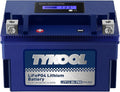 YTX12-BS High Performance LiFePO4 Lithium Motorcycle Battery,360CCA,12V 6Ah,Digital Readout,Fits for Honda TRX250 Recon,Suzuki LT-F250 Ozark,BRP (CAN-AM) DS250 ATV,Polaris RZR UTV,Vespa 300cc Scooter