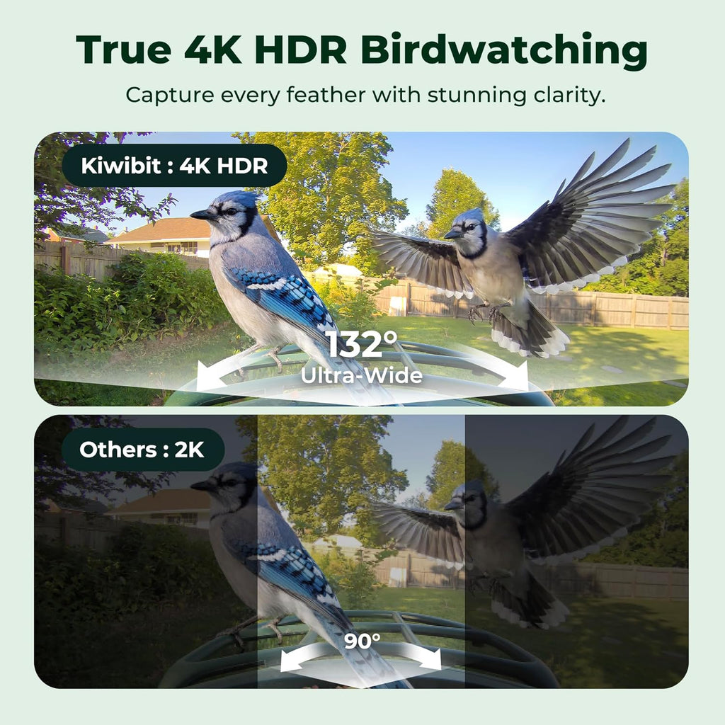 Kiwibit Smart Bird Feeder with Camera Solar Powered, 4K Video Live stream, Wireless Outdoors Bird Camera, AI Identification Bird Species, Real-Time Bird Alert, Birdwatching Gift for Bird Lovers, Green