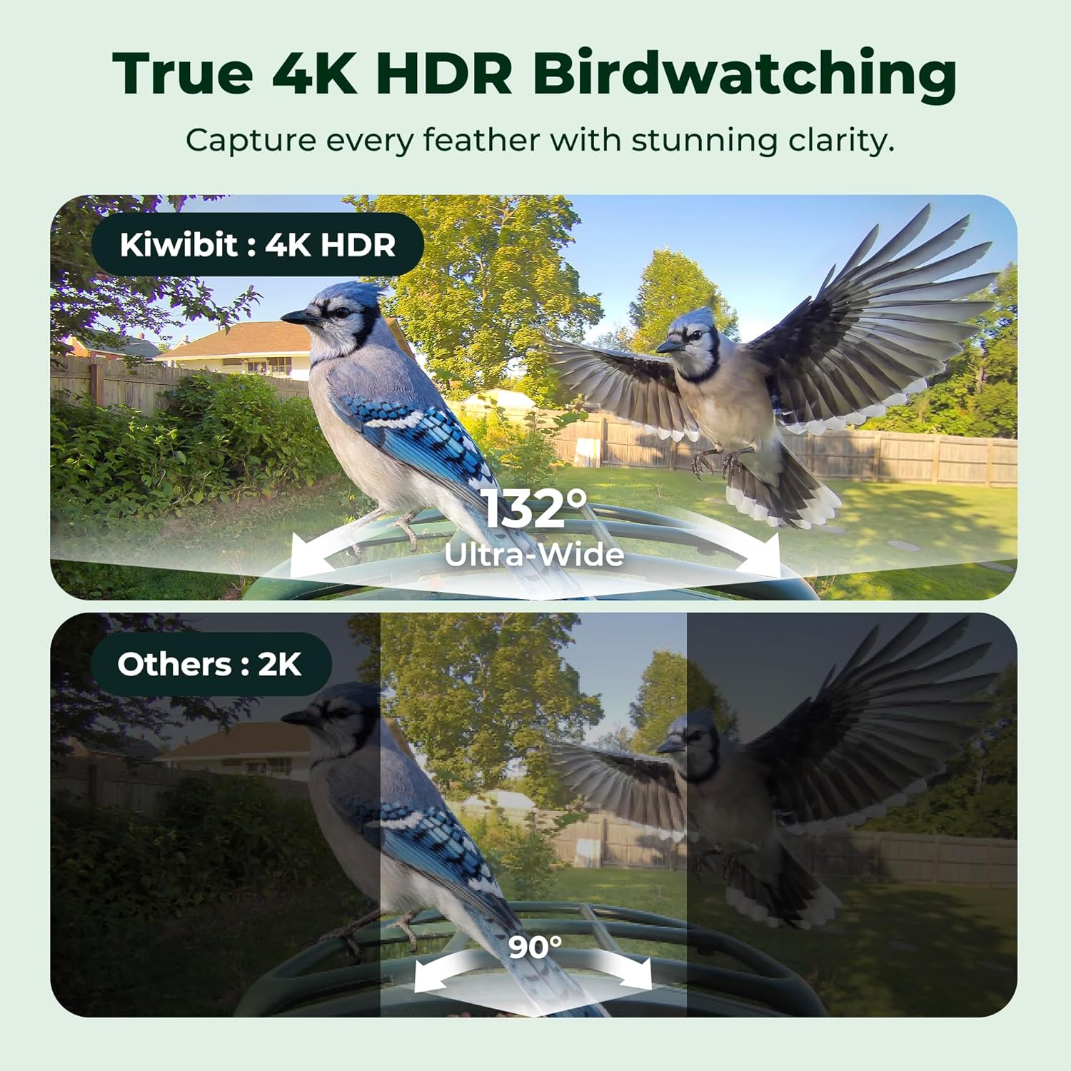 Kiwibit Smart Bird Feeder with Camera Solar Powered, 4K Video Live stream, Wireless Outdoors Bird Camera, AI Identification Bird Species, Real-Time Bird Alert, Birdwatching Gift for Bird Lovers, Green