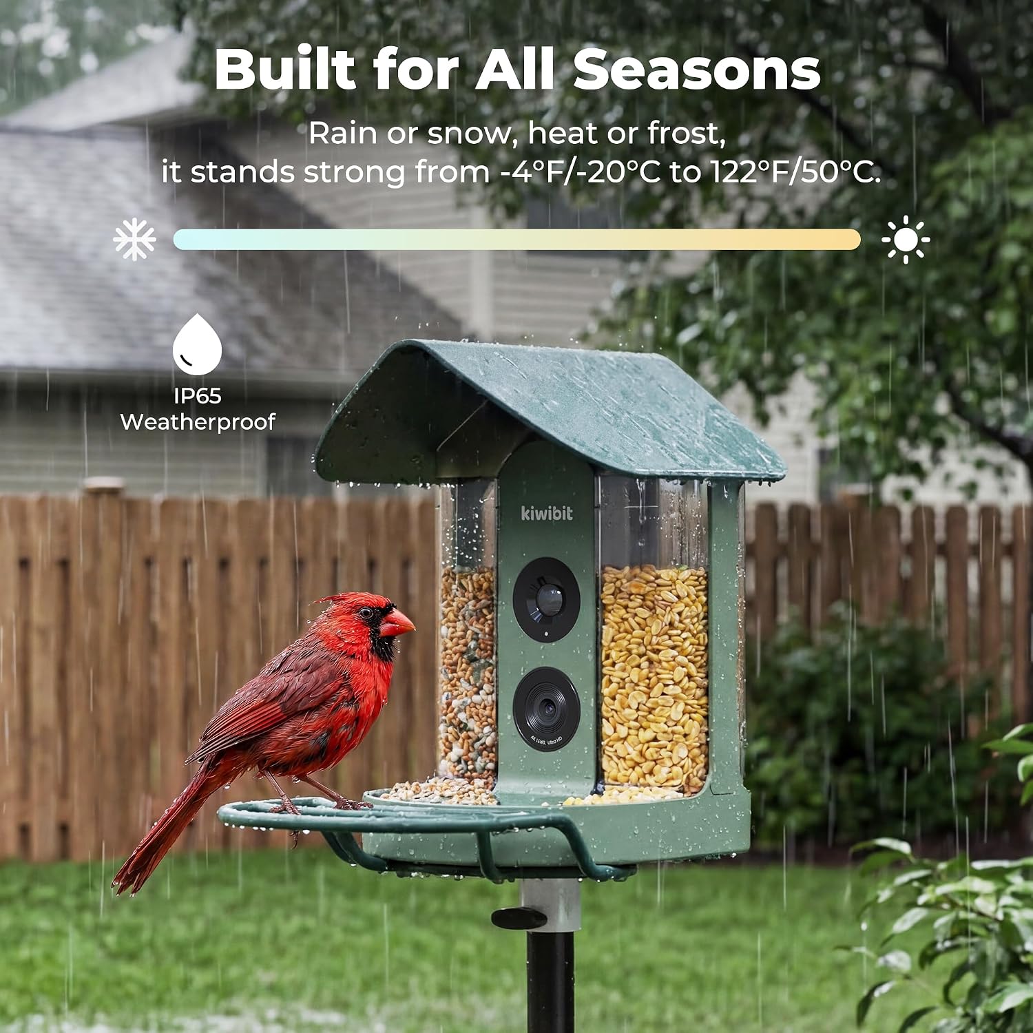 Kiwibit Smart Bird Feeder with Camera Solar Powered, 4K Video Live stream, Wireless Outdoors Bird Camera, AI Identification Bird Species, Real-Time Bird Alert, Birdwatching Gift for Bird Lovers, Green