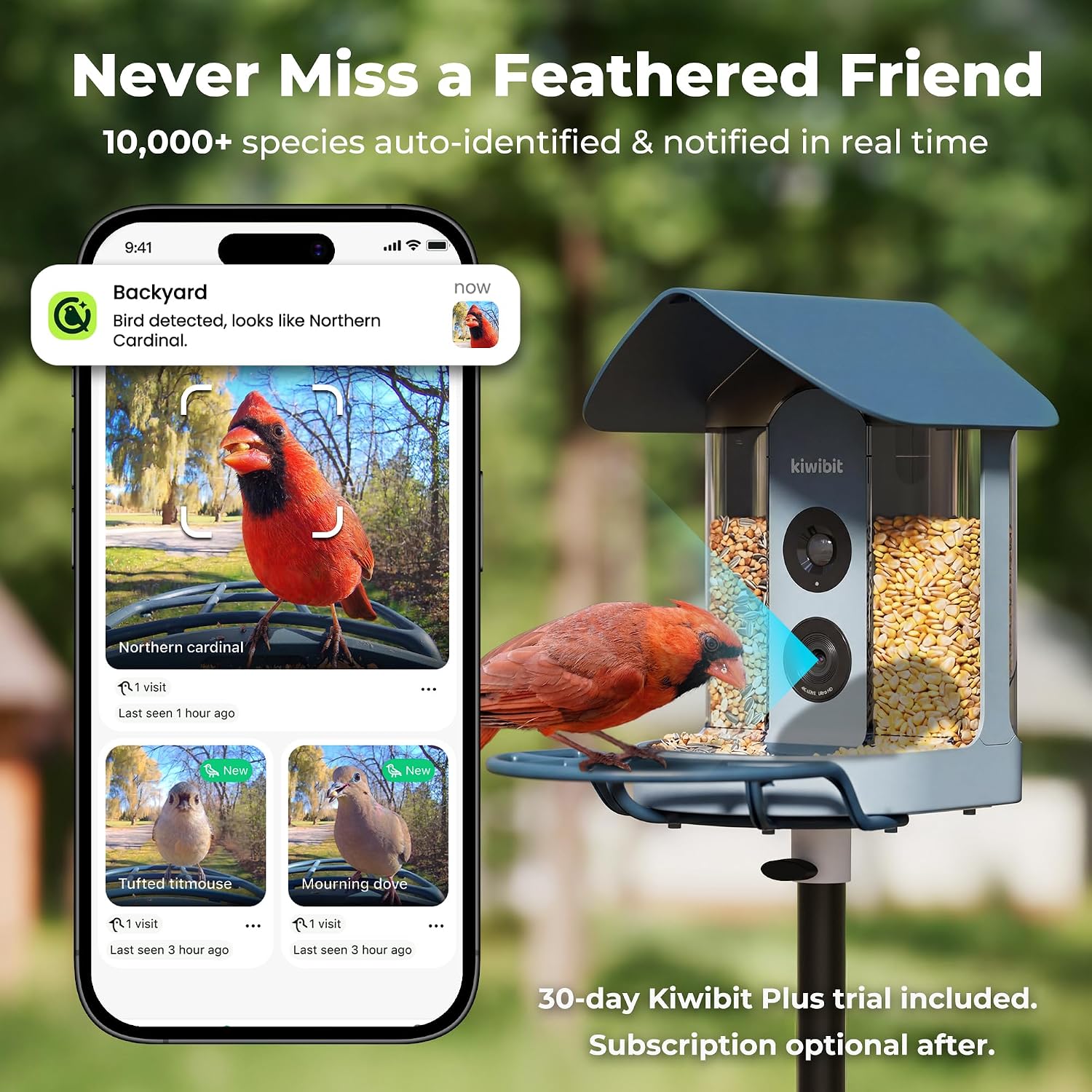 Kiwibit Smart Bird Feeder with Camera Solar Powered, 4K Video Live Stream, Wireless Outdoors Bird Camera, AI Identification Bird Species, Real-Time Bird Alert, Birdwatching Gift for Bird Lovers, Blue