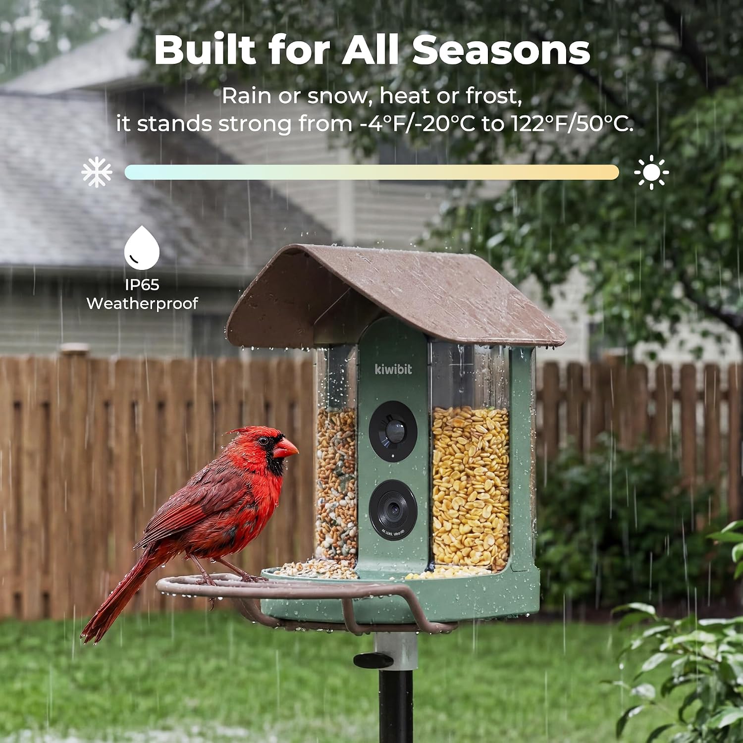 Kiwibit Smart Bird Feeder with Camera Solar Powered, No Subscription, Lifetime AI Feature Included, 4K Video Live Stream, AI Identification Bird Species, Real-Time Bird Alert, Ideal Birdwatching Gift