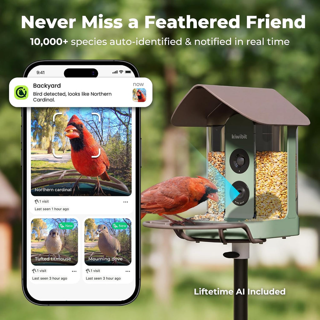 Kiwibit Smart Bird Feeder with Camera Solar Powered, No Subscription, Lifetime AI Feature Included, 4K Video Live Stream, AI Identification Bird Species, Real-Time Bird Alert, Ideal Birdwatching Gift