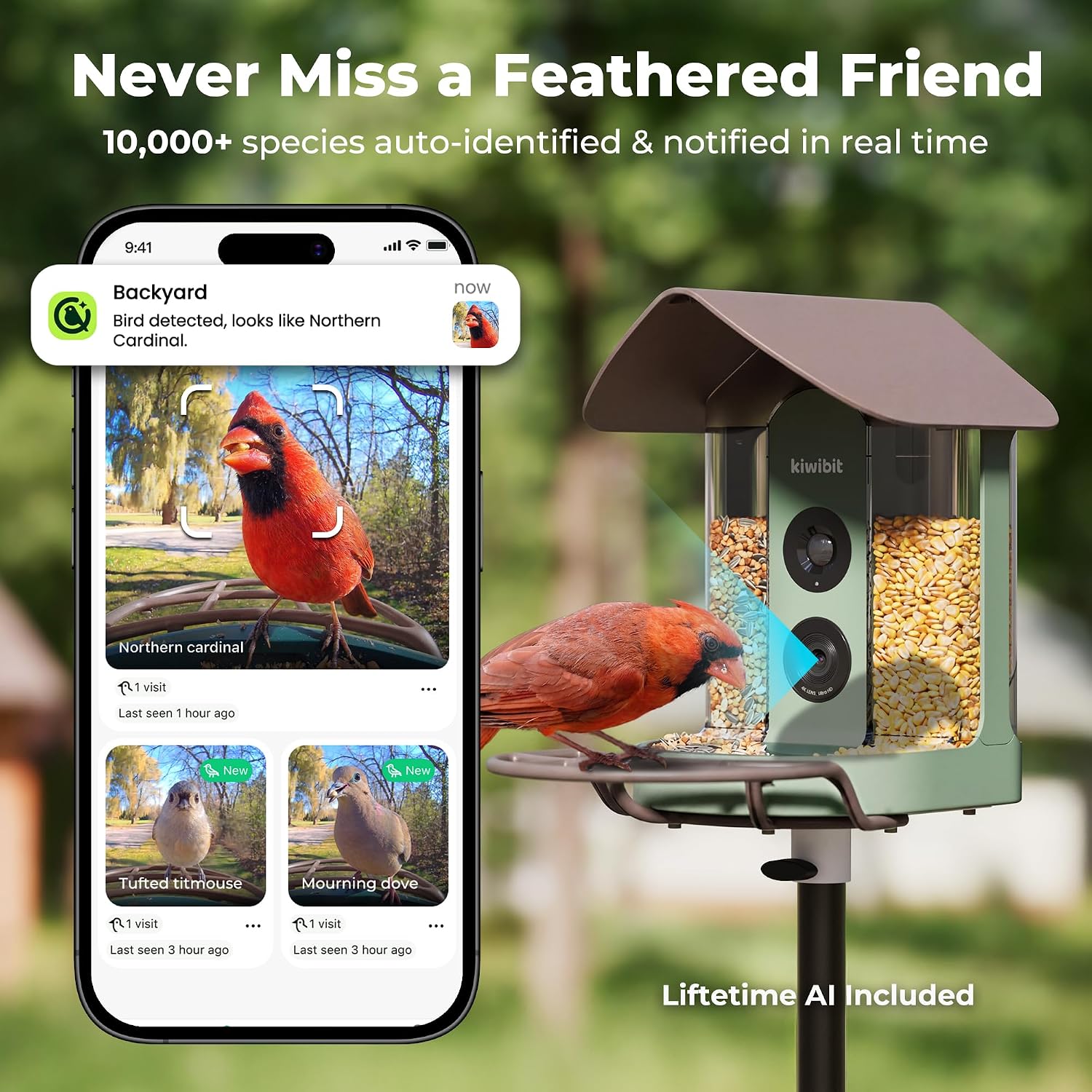 Kiwibit Smart Bird Feeder with Camera Solar Powered, No Subscription, Lifetime AI Feature Included, 4K Video Live Stream, AI Identification Bird Species, Real-Time Bird Alert, Ideal Birdwatching Gift