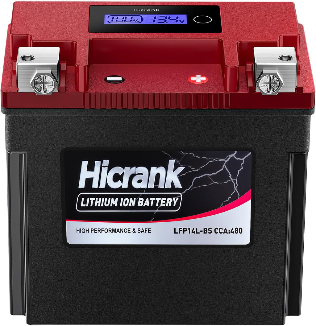 YTX14L-BS (GYZ16HL) Lithium 12V 8Ah 480CCA LiFePO4 Motorcycle Battery, Powersports Battery for Honda KTM Yamaha Harely, Fit ATV, UTV, Motocross, 4 Wheeler, Quad, Riding Lawn Mower