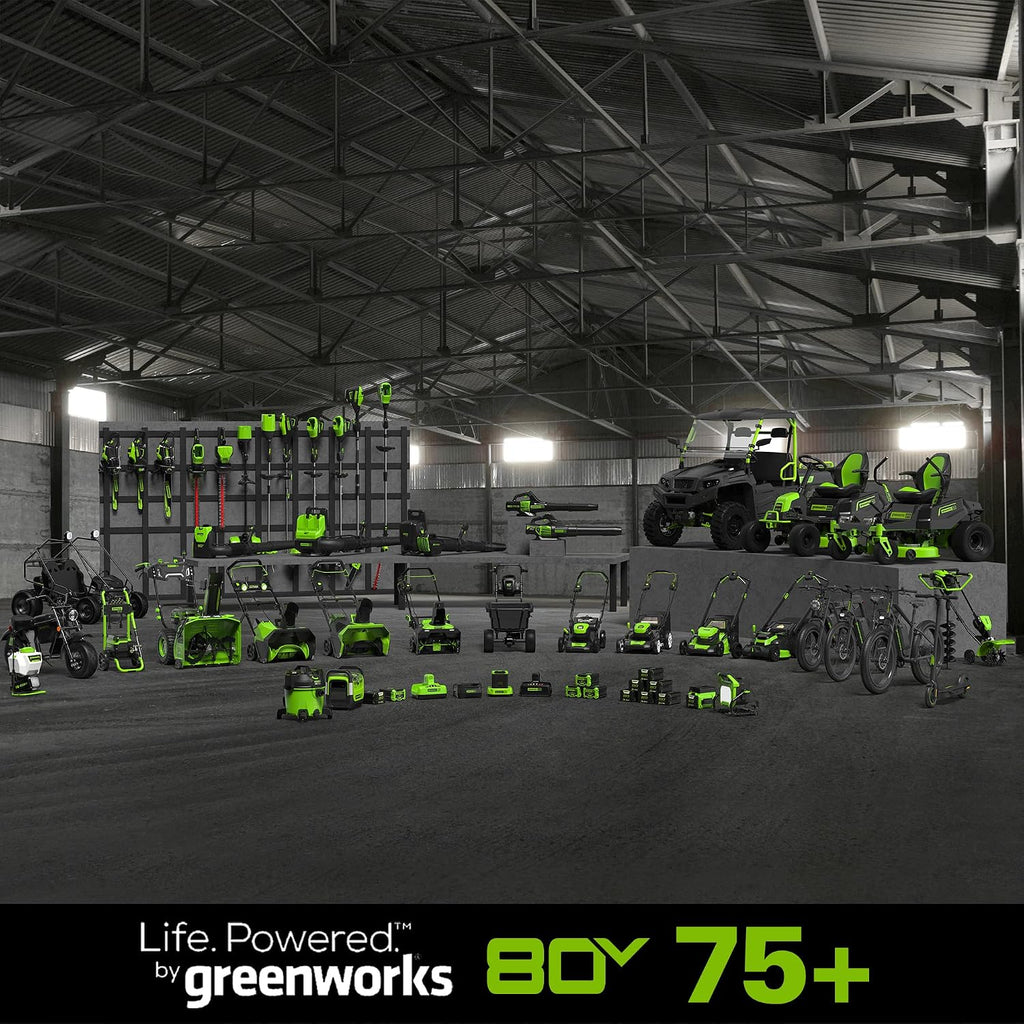 Greenworks PRO 80V 4.0Ah Lithium-Ion Battery ((Genuine Greenworks Battery / 75+ Compatible Tools)