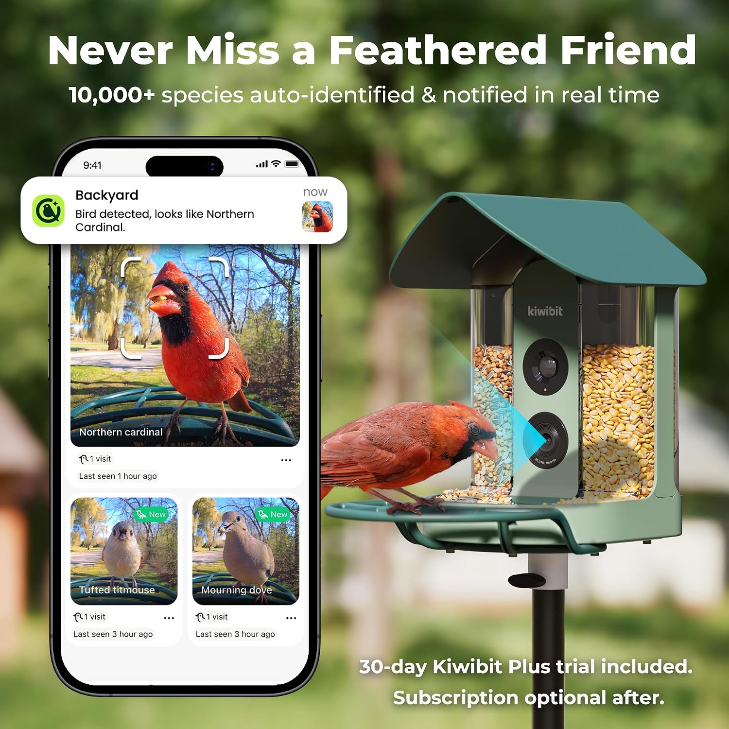 Kiwibit Smart Bird Feeder with Camera Solar Powered, 4K Video Live stream, Wireless Outdoors Bird Camera, AI Identification Bird Species, Real-Time Bird Alert, Birdwatching Gift for Bird Lovers, Green
