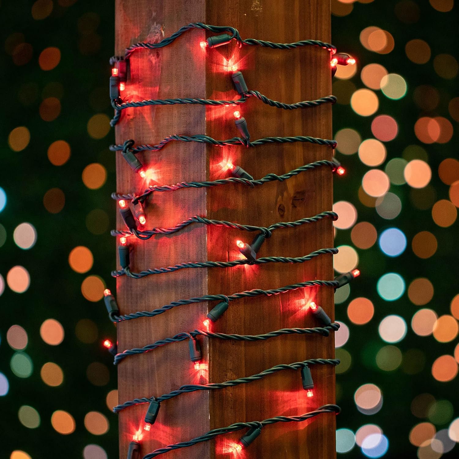 Novelty Lights 24-Pack, 25 Feet 50 LED Red Christmas Mini Light String on Green Wire, 5mm Wide Angle Bulbs, Connectable, Indoor/Outdoor Decor, UL Listed