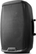 Gemini 120W Powered PA Speaker 12' – Active Stage Monitor Cabinet with XLR/Mic Inputs, EQ Control, Rugged & Portable for Small Venues, DJs & Performers (AS-2112P)