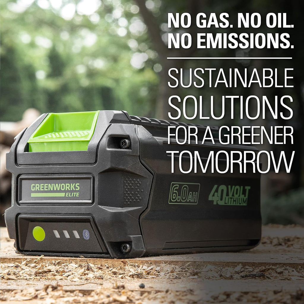 Greenworks PRO 80V 2.5Ah Lithium-Ion Battery (Genuine Greenworks Battery / 75+ Compatible Tools)