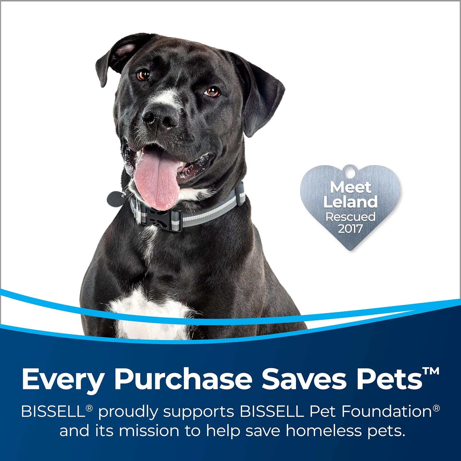 Bissell CleanView Allergen Lift-Off Pet Vacuum