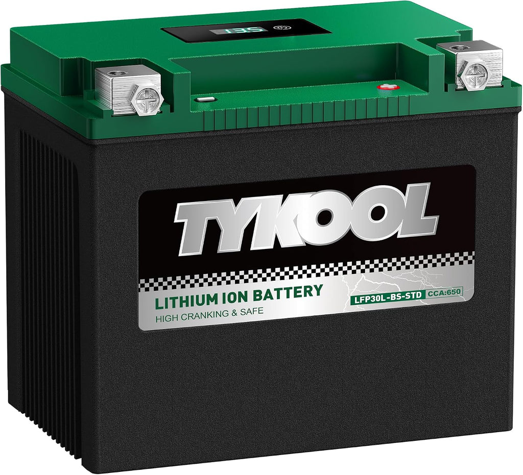 TYKOOL LFP30L-BS-STD Lithium Battery, Replaces YTX30L-BS, 650CCA 12Ah Fits for Motorcycle UTV ATV PWC, Compatible with Harley Touring Road King Moto Guzzi 1000cc Polaris Ranger RZR 800,Digital Readout
