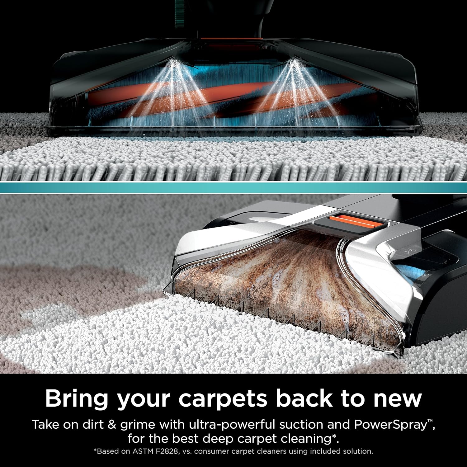 Shark R- EX201 CarpetXpert Upright Carpet, Area Rug & Upholstery Cleaner with StainStriker, Cyan - (Renewed)