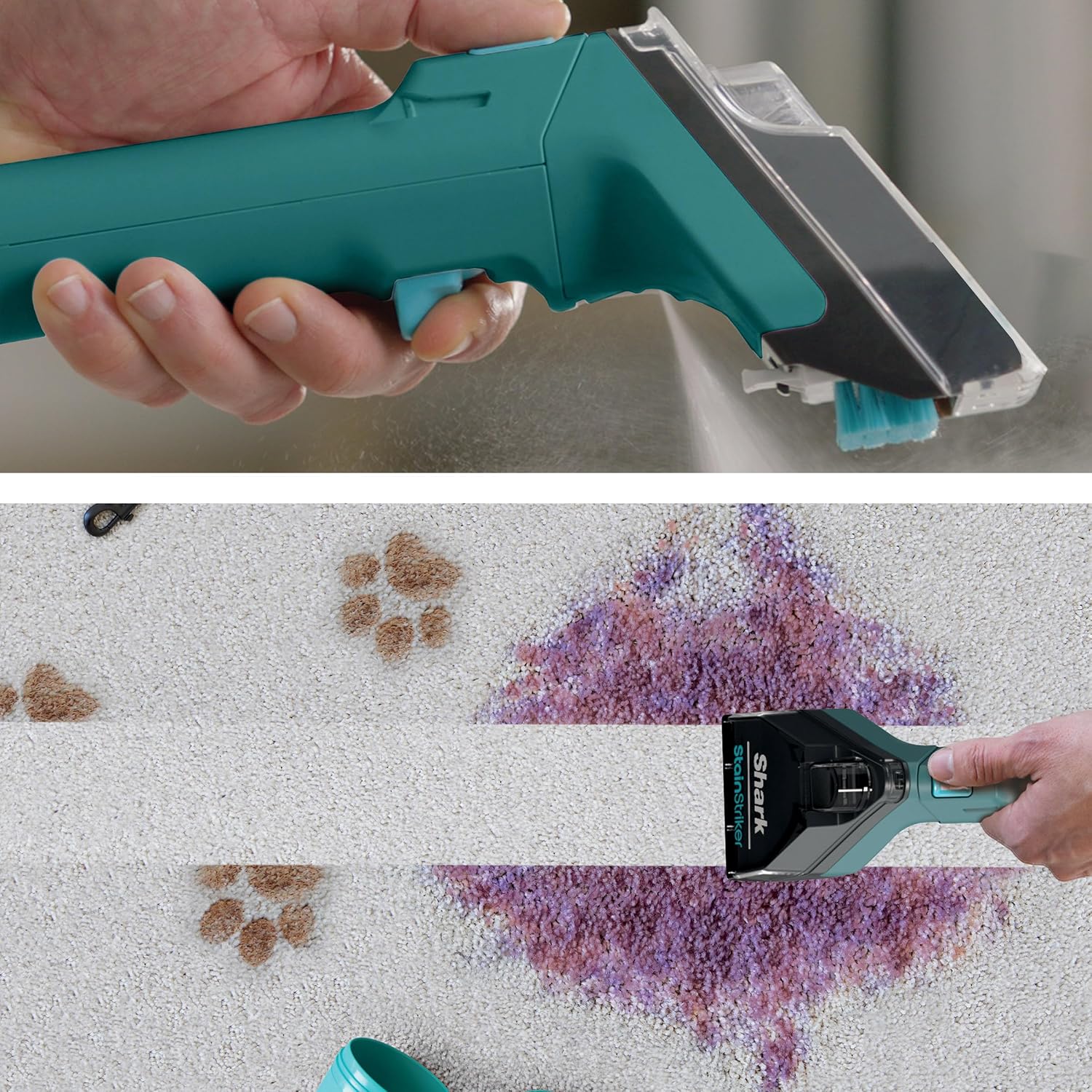 Shark R-EX205 CarpetXpert Carpet, Area Rug & Upholstery Cleaner with StainStriker, Built-in Spot & Stain Cleaner, Teal - Certified , EX200 Series (Renewed)