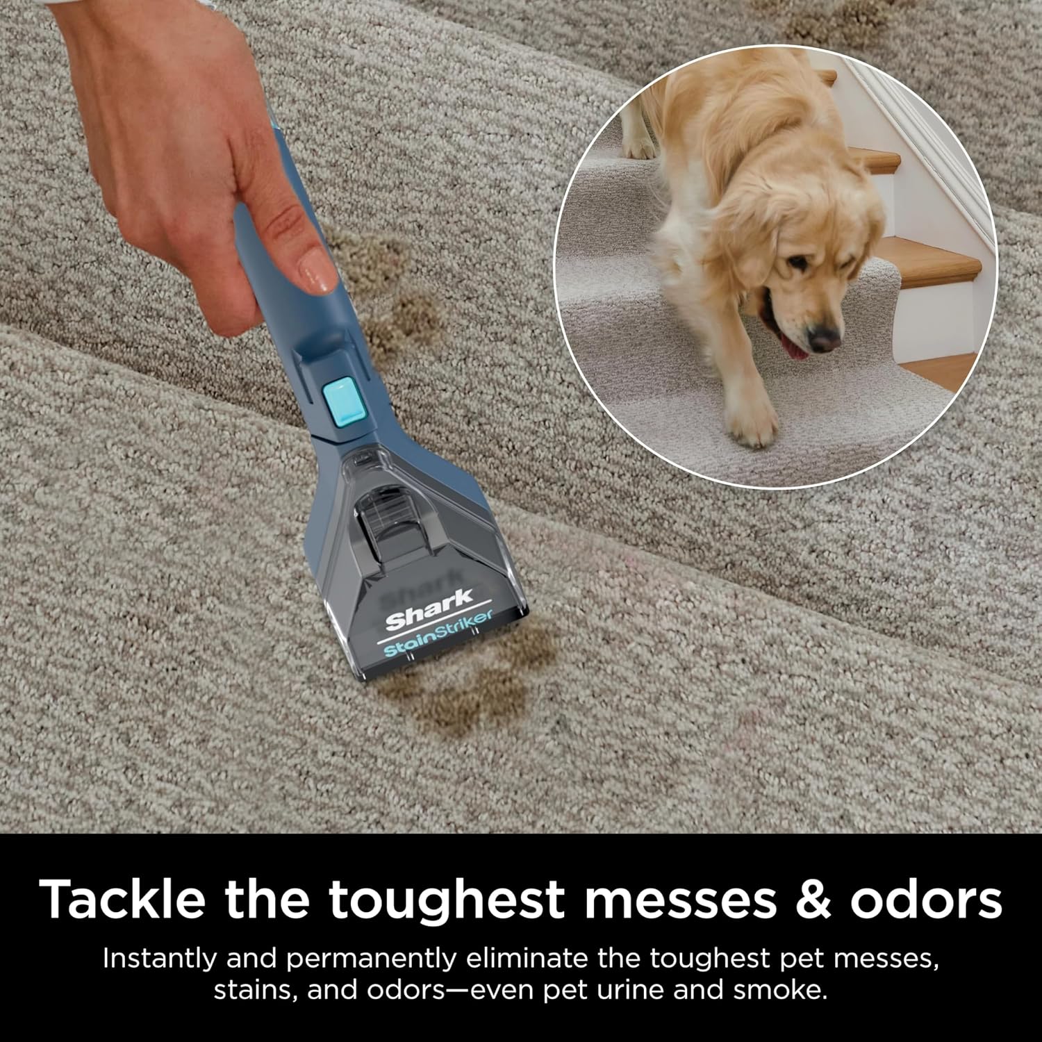 Shark CarpetXpert with Stain Striker, Upright Carpet, Area Rug & Upholstery Cleaner (Renewed) (Navy)